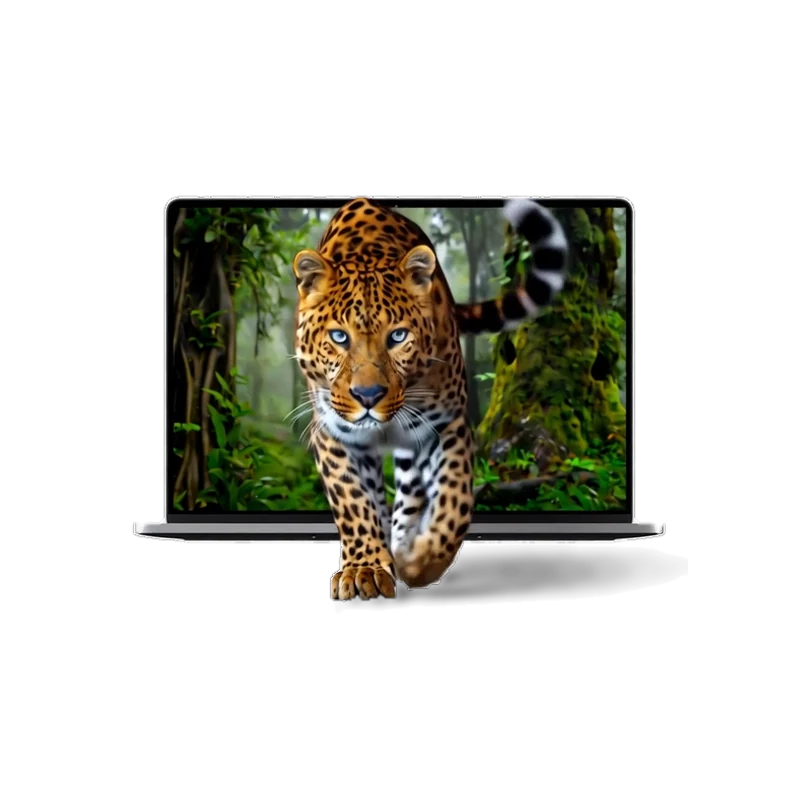 A leopard stepping forward out of a laptop screen into the foreground.